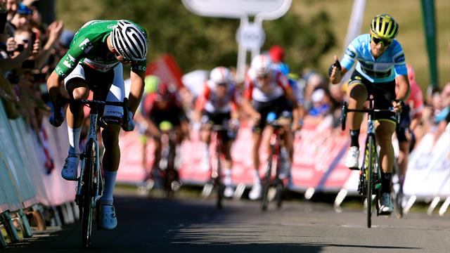 Van der Poel è un fenomeno! Anche Trentin abdica e dice: "Cos'altro posso fare?" Van der Poel è un fenomeno! Anche Trentin abdica e dice: "Cos'altro posso fare?"