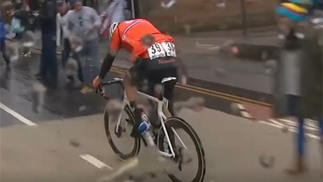 "Hammer!" Topfavorit van der Poel bricht an der Spitze völlig ein "Hammer!" Topfavorit van der Poel bricht an der Spitze völlig ein