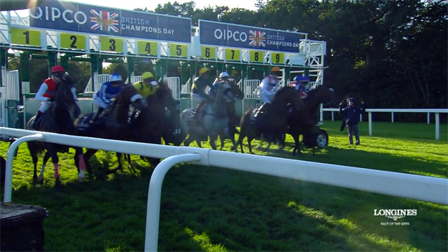 Höhepunkt in Ascot: Das "QICPO Champion Stakes" Höhepunkt in Ascot: Das "QICPO Champion Stakes"