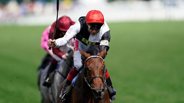Kikuka Sho 2019: la “prima” di World Premier