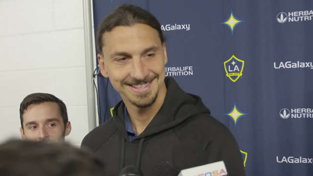 Ibrahimovic: "Se Ancelotti mi ha telefonato? Tutti chiamano Zlatan, vuoi anche tu il mio numero?" Ibrahimovic: "Se Ancelotti mi ha telefonato? Tutti chiamano Zlatan, vuoi anche tu il mio numero?"