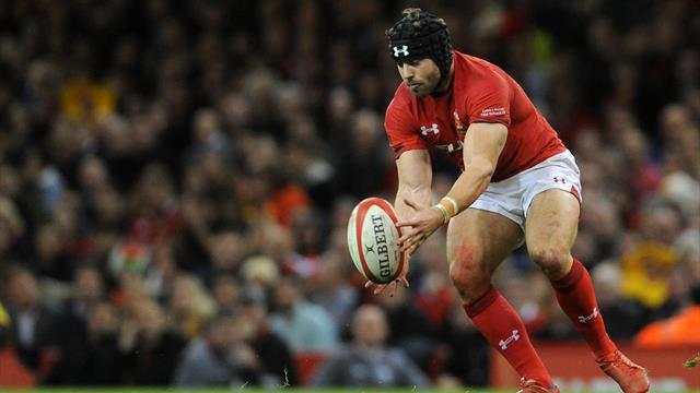 Galles e Sudafrica, una semifinale condizionata dagli infortuni: grande chance per gli Springboks