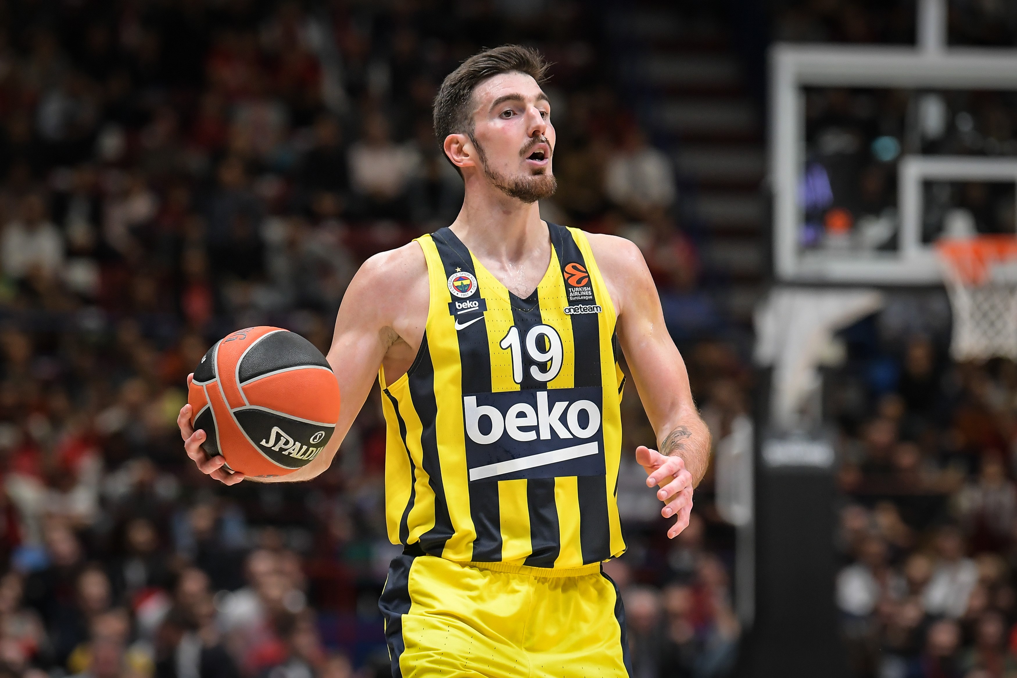 Nando De Colo, Fenerbahçe Beko