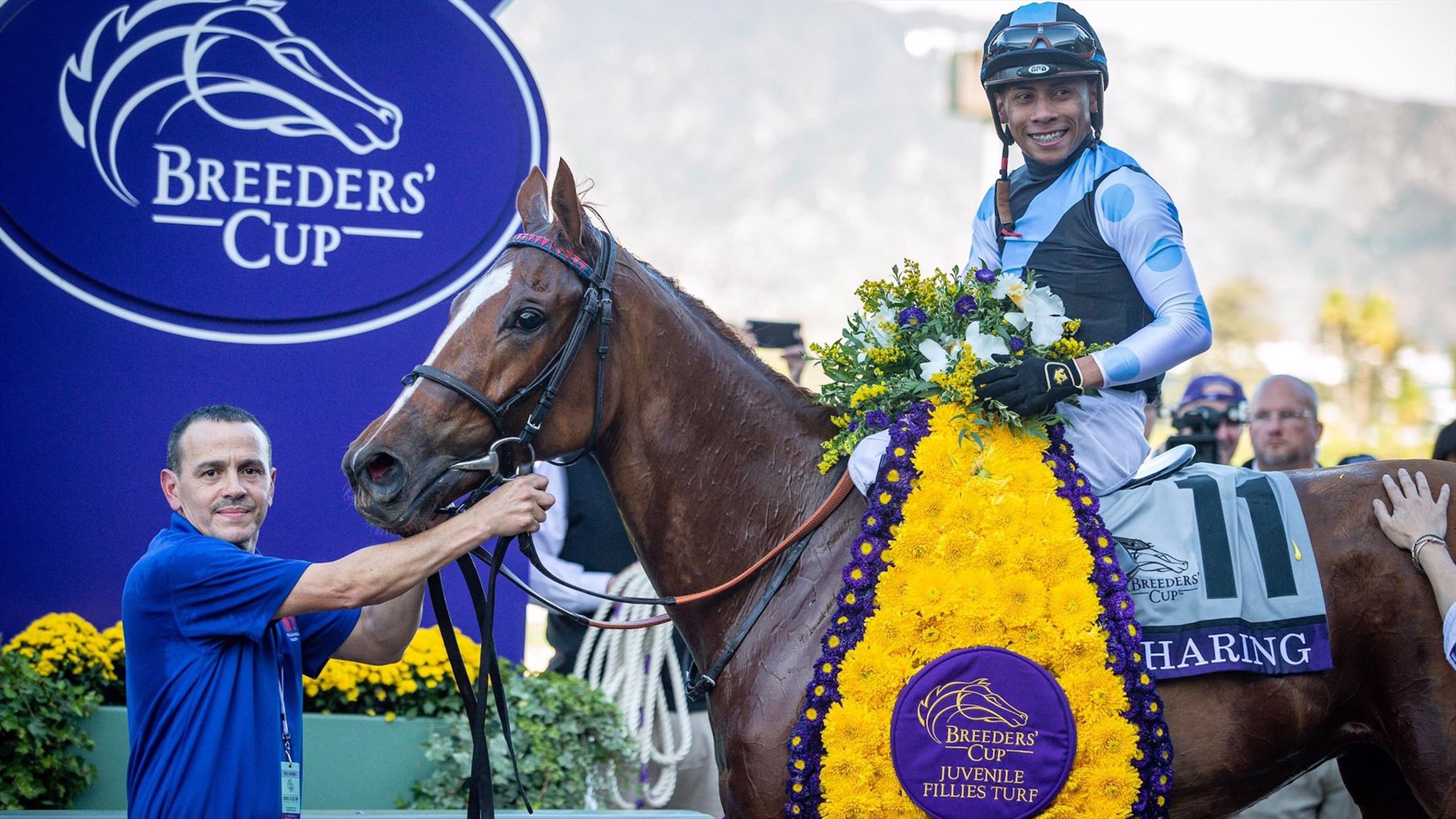 Les performances européennes dans la Breeders’ Cup Juvenile Fillies