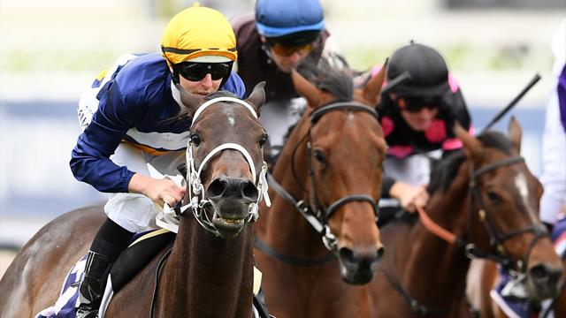 Turf en Australia : Nature Strip se impone en la VRC Classic