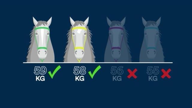 Das perfekte Gewicht: So bringen sich Jockeys in Top-Form Das perfekte Gewicht: So bringen sich Jockeys in Top-Form