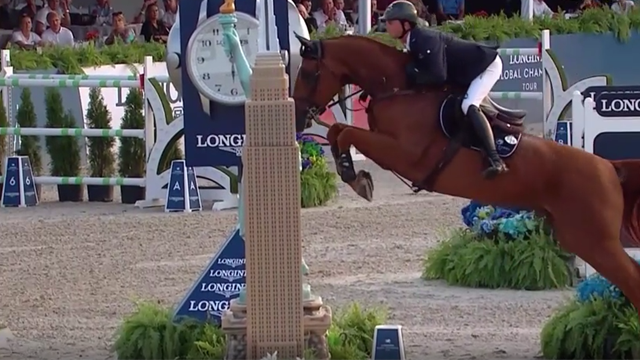 Springreiten: So züchtet man das perfekte Pferd Springreiten: So züchtet man das perfekte Pferd