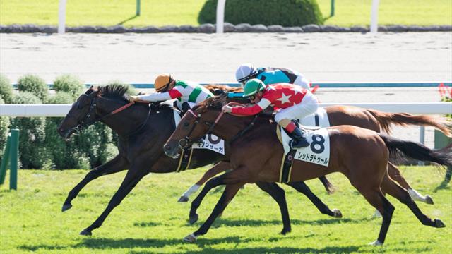 Japón: Victoria de Gran Alegría en la Hanshin Cup