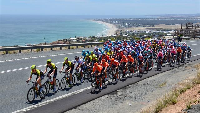 Trotz Buschfeuer: Tour Down Under findet 2020 statt