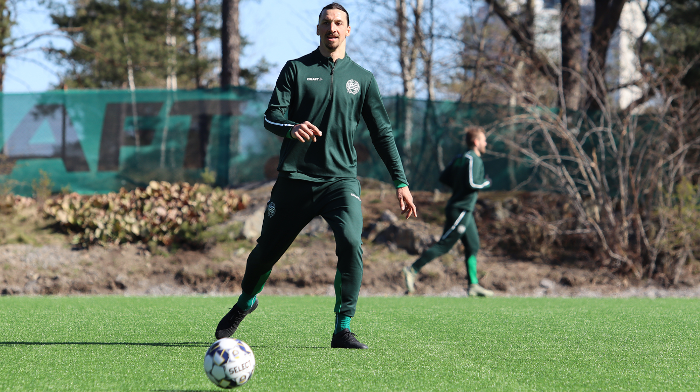 Zlatan Ibrahimovic, Hammarby