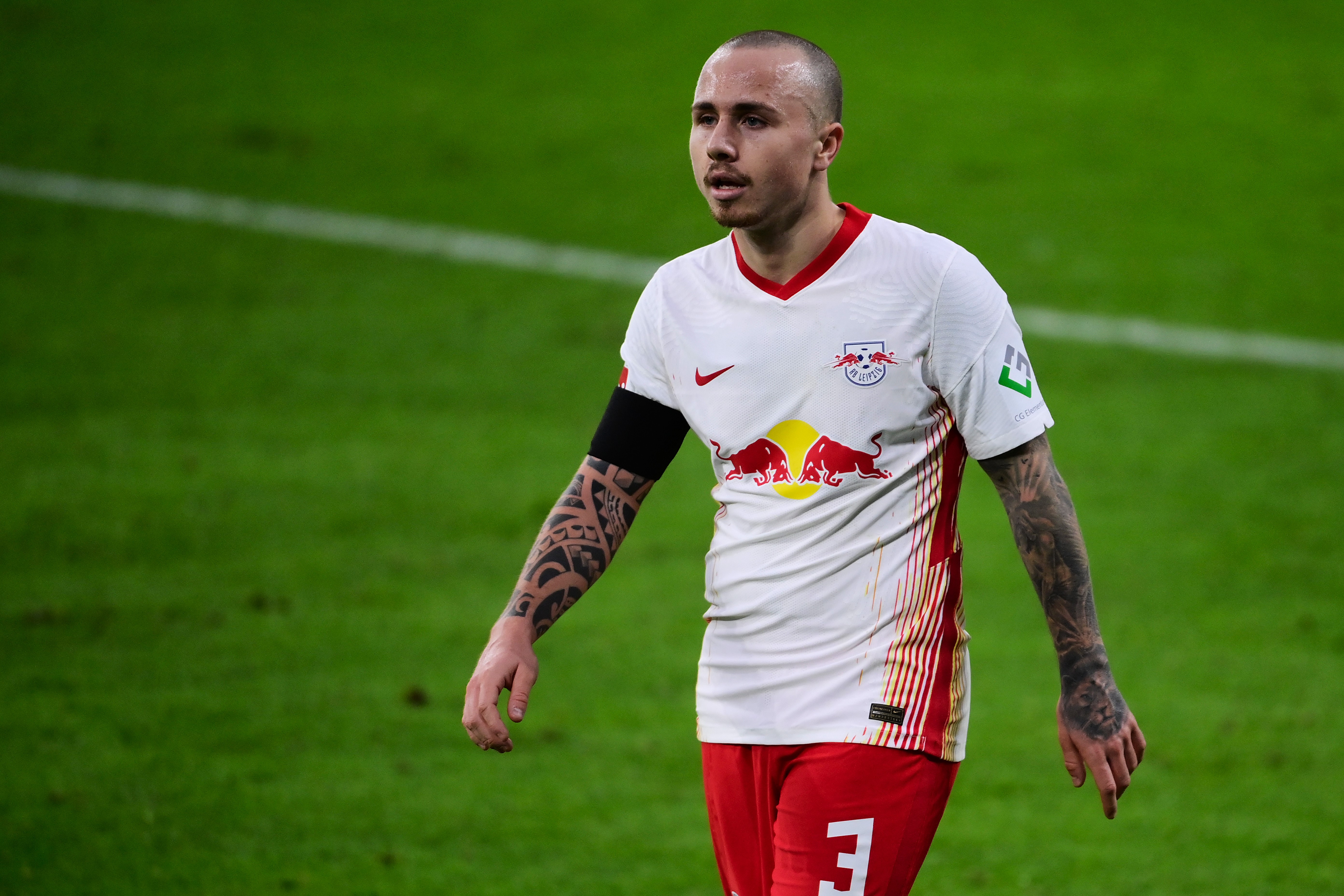 Angelino im Dezember 2020