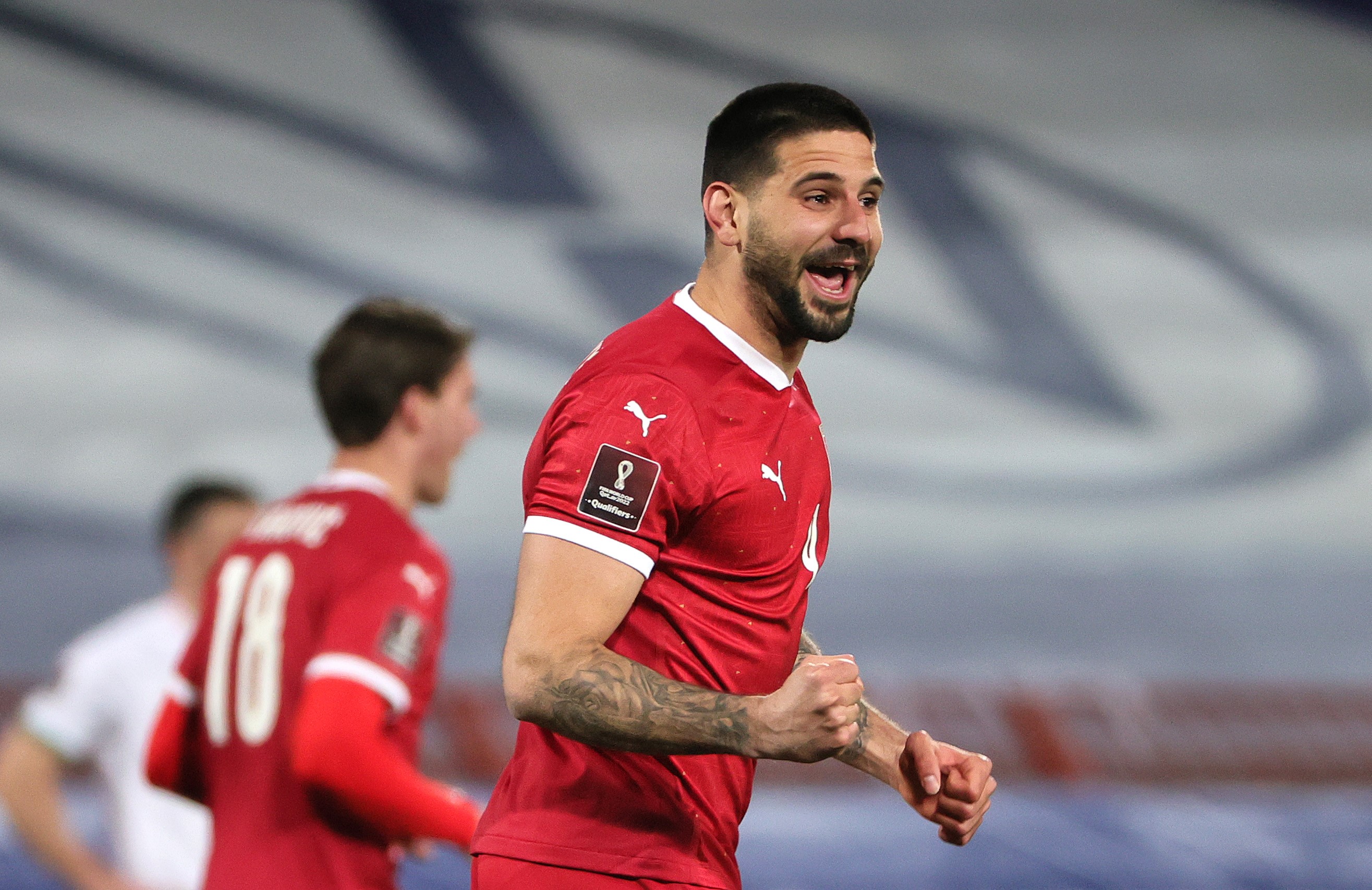 Aleksandar Mitrovic celebrates scoring for Serbia