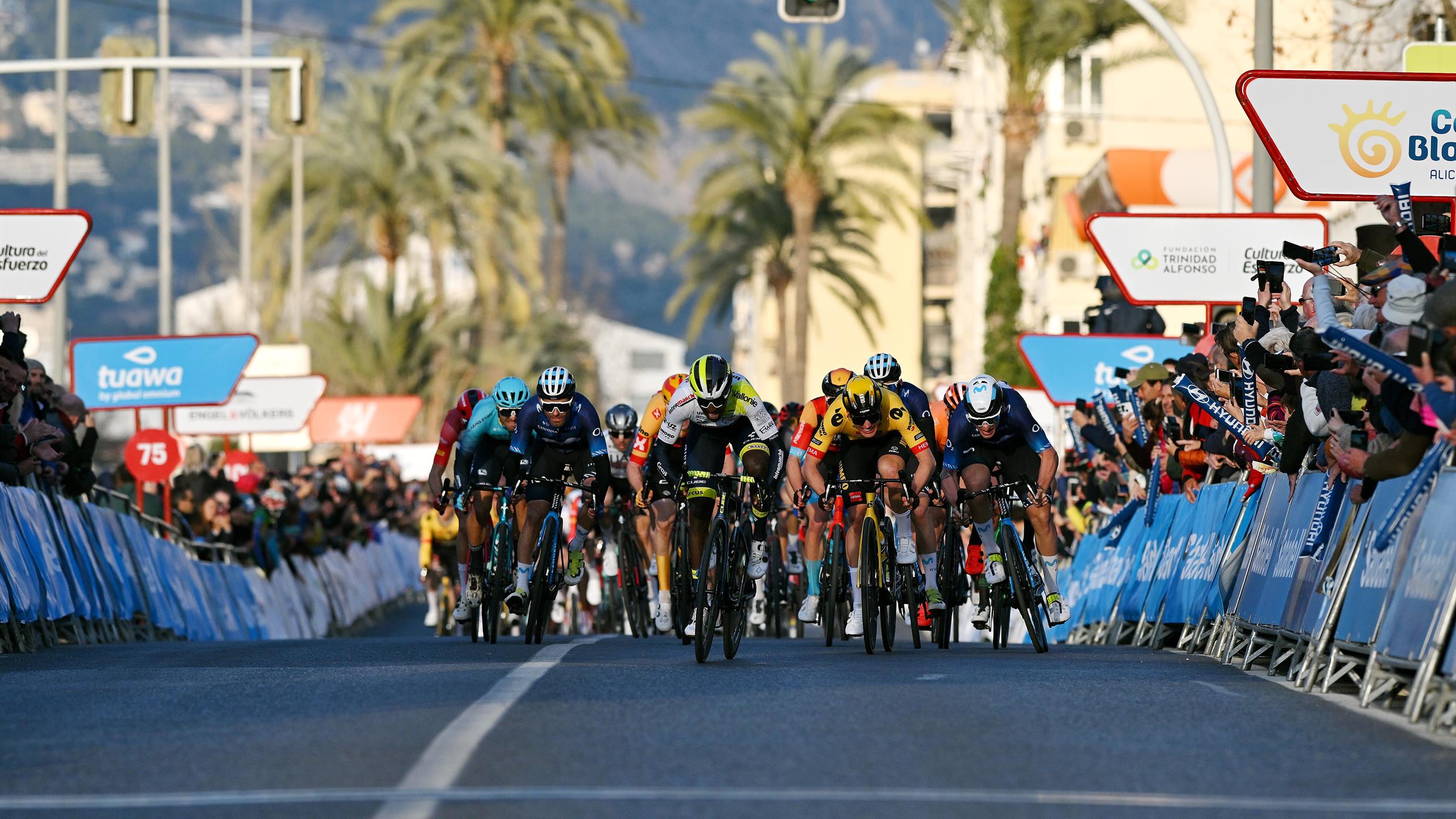 ValenciaRundfahrt Sprinter machen ersten Tagessieg unter sich aus