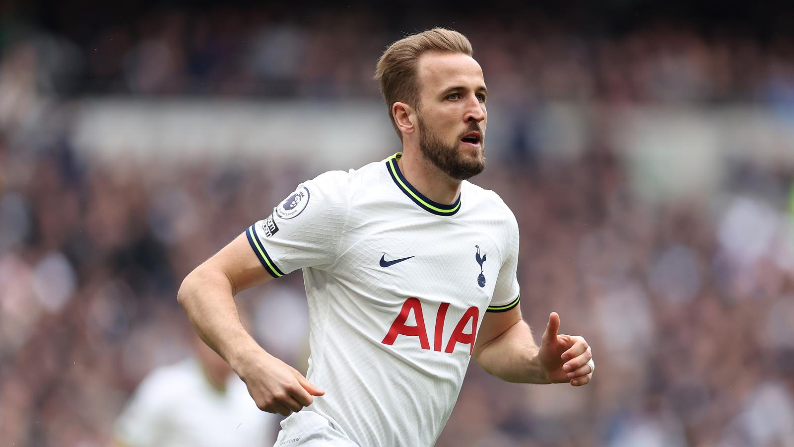 Harry Kane - Player Profile - Football - Eurosport