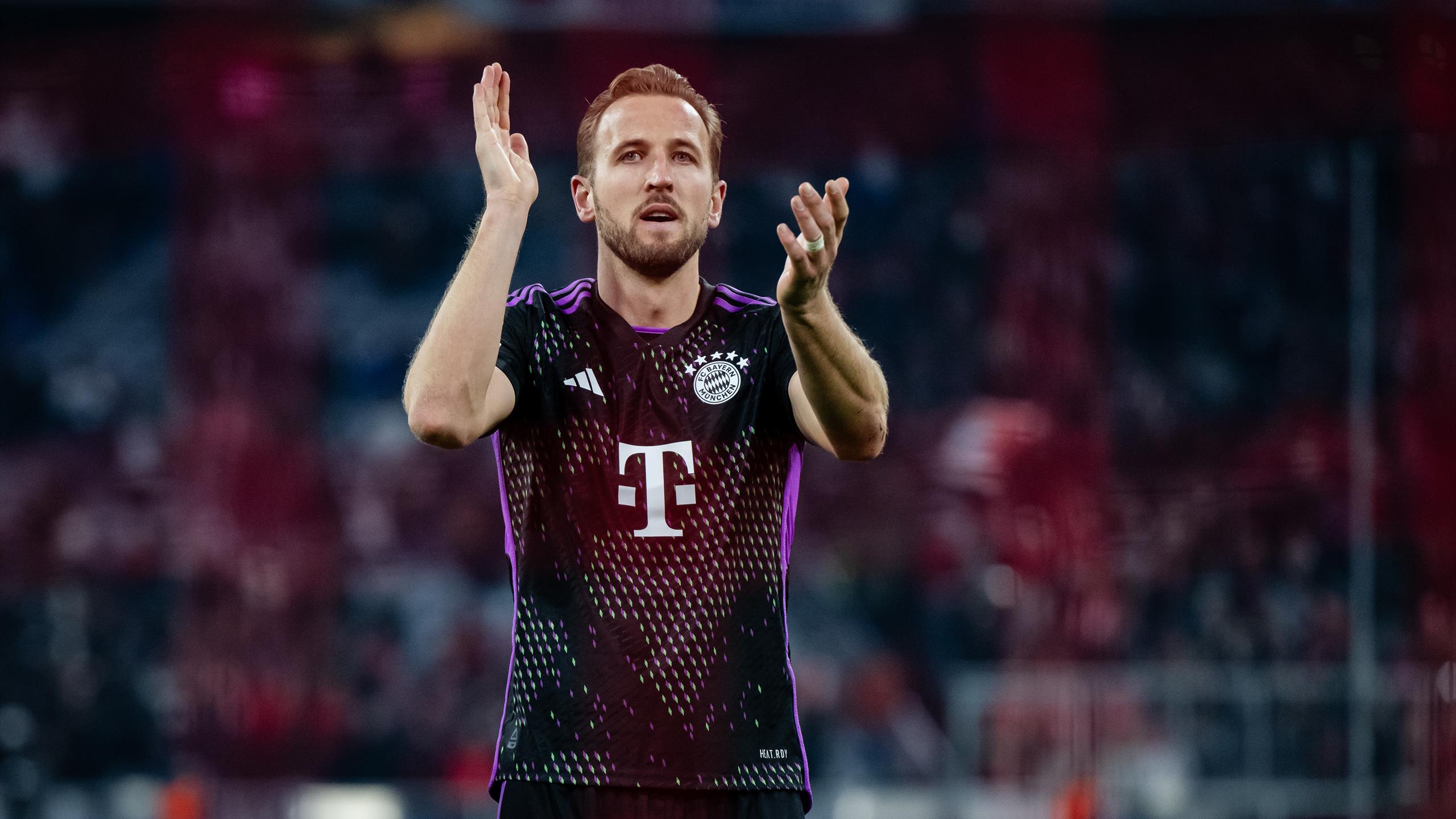 Mark van Bommel: Negativserie geht mit Niederlage von Royal Antwerpen gegen  FC Porto weiter - Eurosport