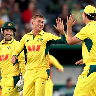 'What a catch!' - Labuschagne dives headlong to dismiss Mulder