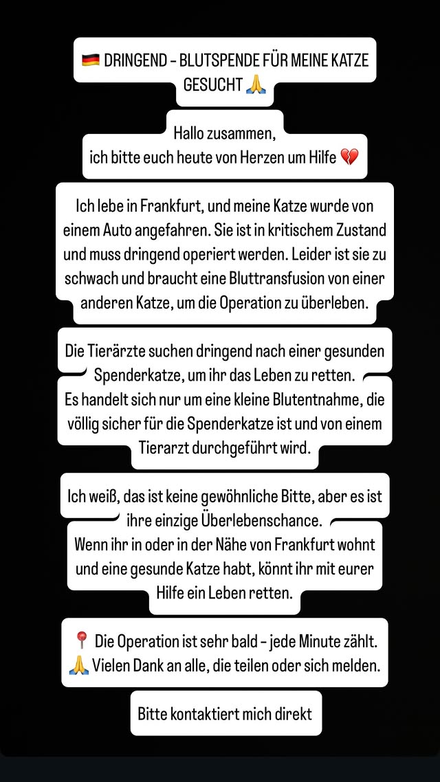 Michy Batshuayi hofft auf eine Blutspende für seine Katze