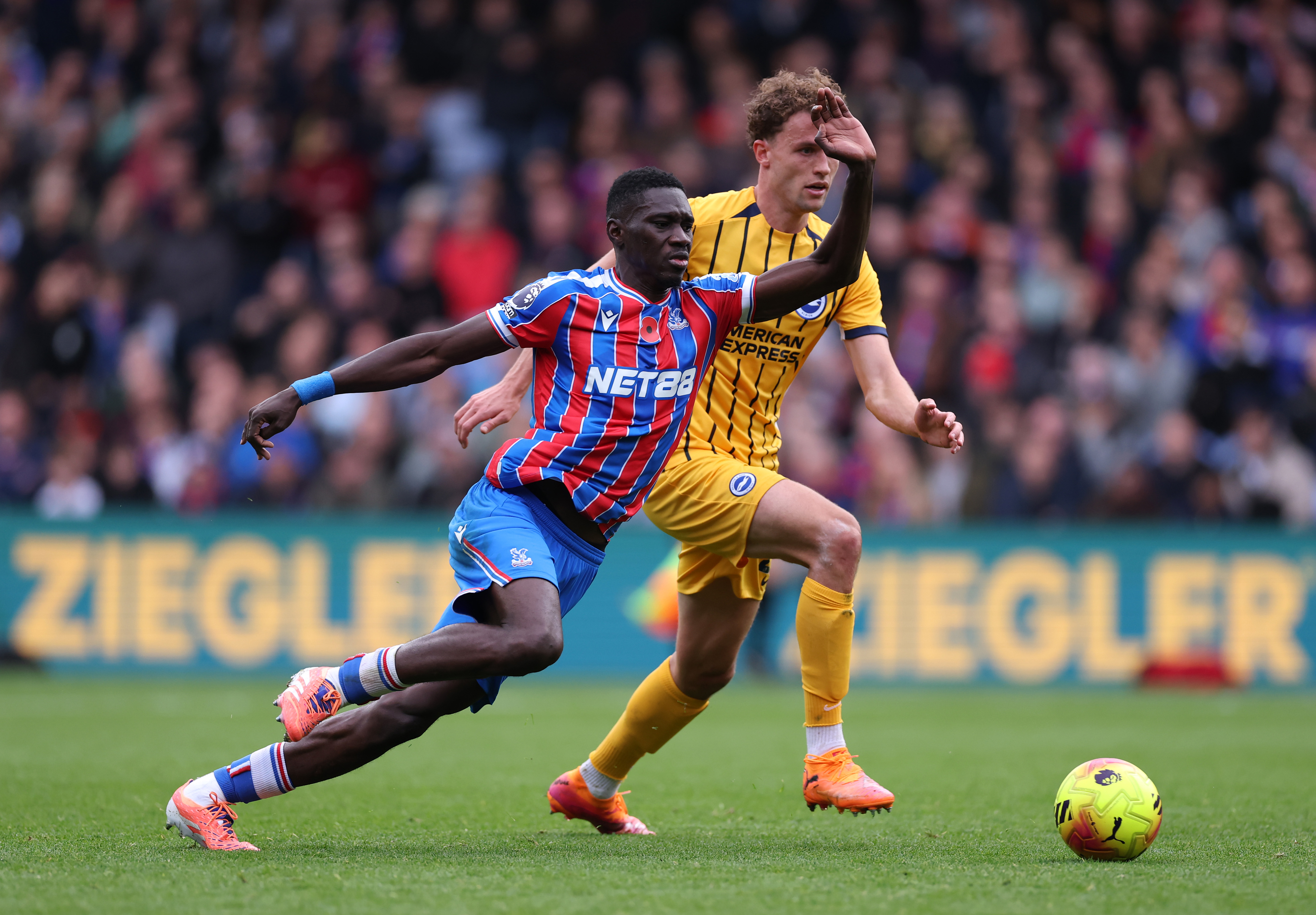 Crystal Palace Brighton