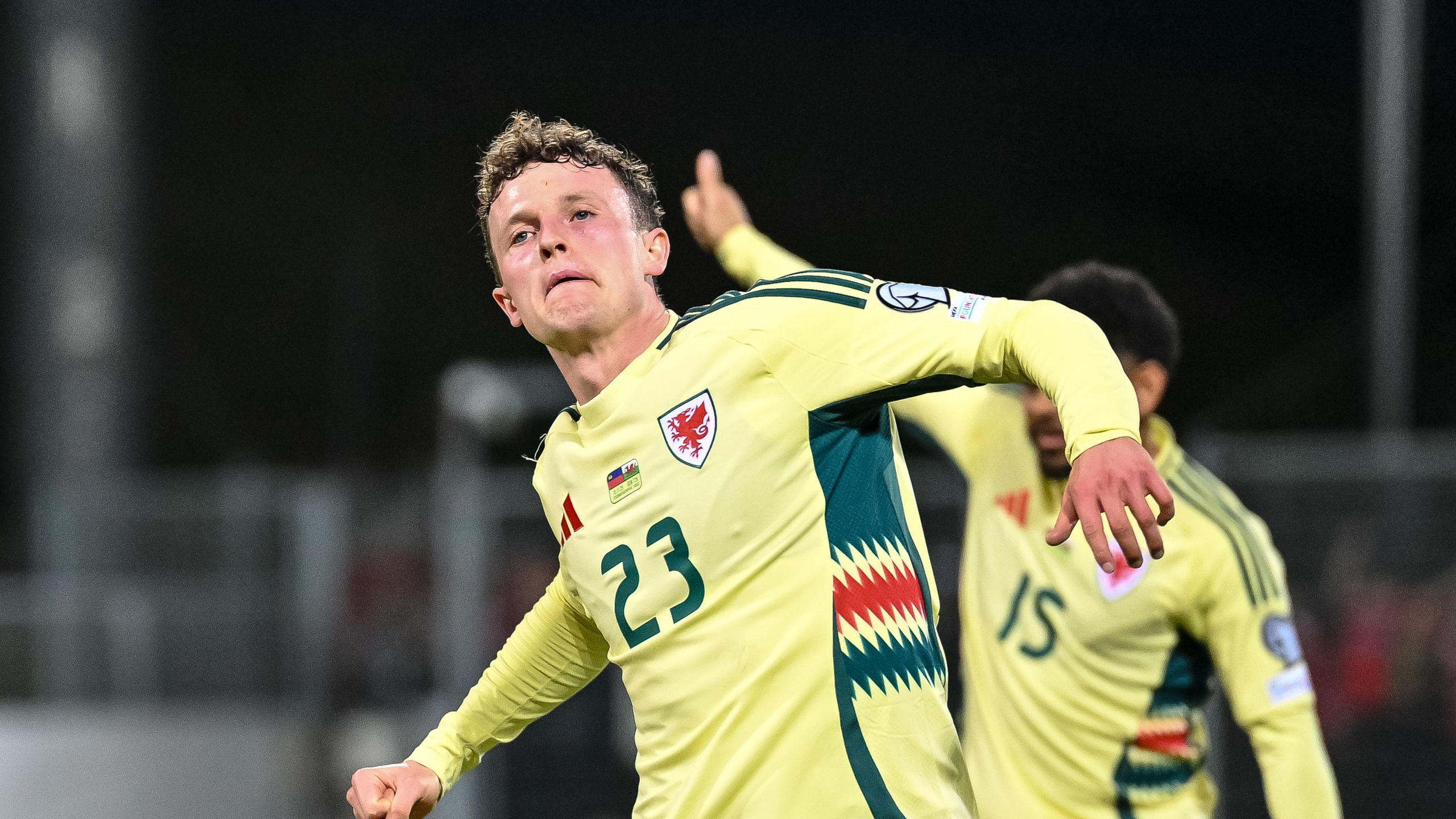 Wales secure battling win over Liechtenstein to keep qualification hopes alive