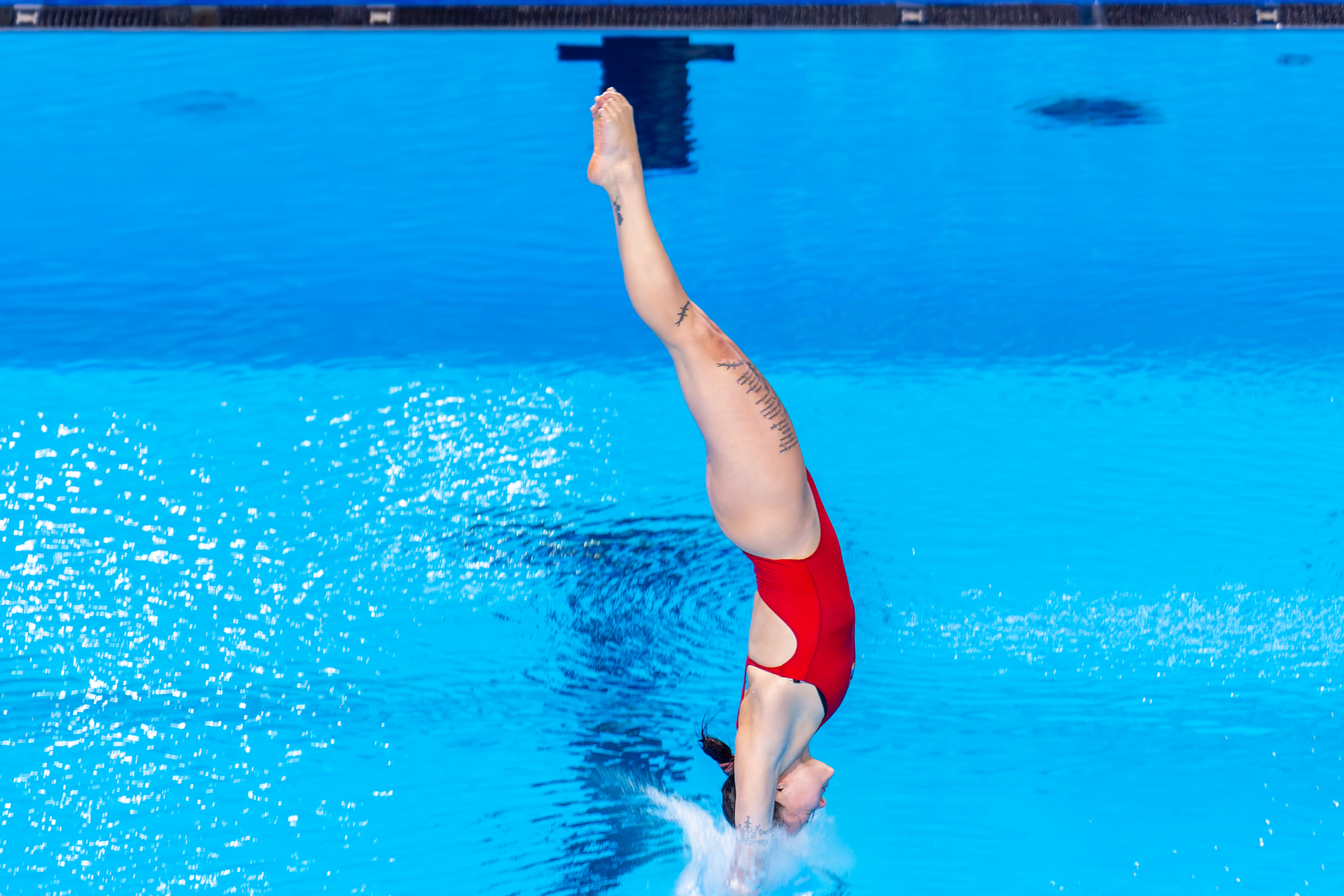 Łyskun podczas igrzysk olimpijskich w Paryżu (2024) 