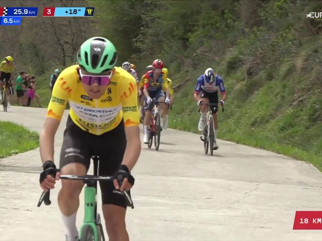 Marco Pantani's 1998 Tour de France, Giro d'Italia Bike
