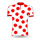 Tour de France - Figure 12