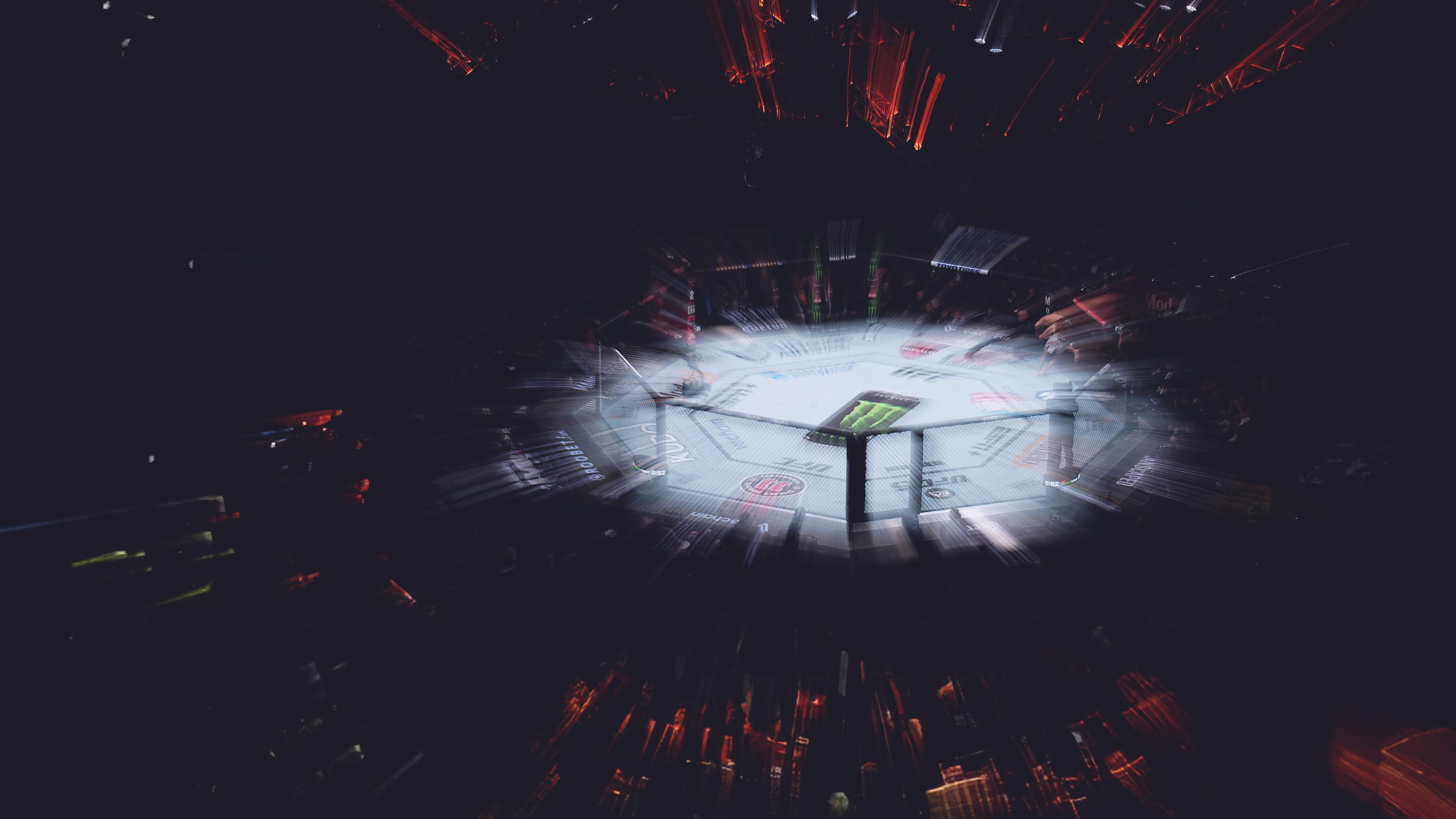 Immagine di UFC Highlights